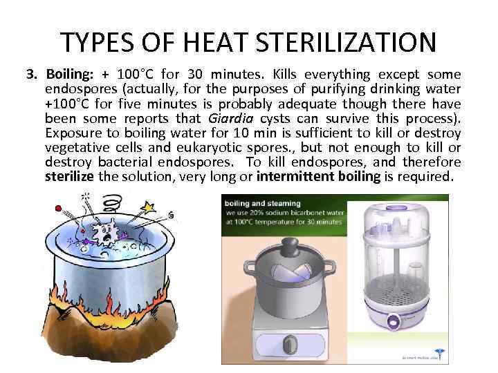 Does Heat Kill Microorganisms