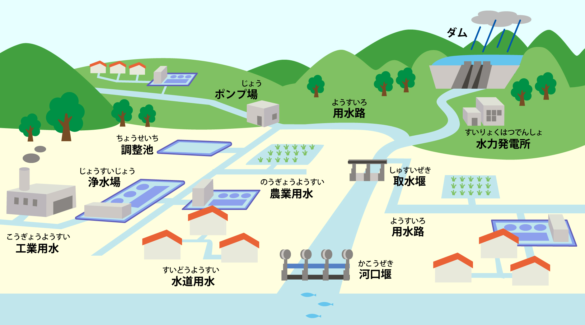 国内シェア独走の秘密とは？奈良の靴下が魅せる圧倒的な履き心地