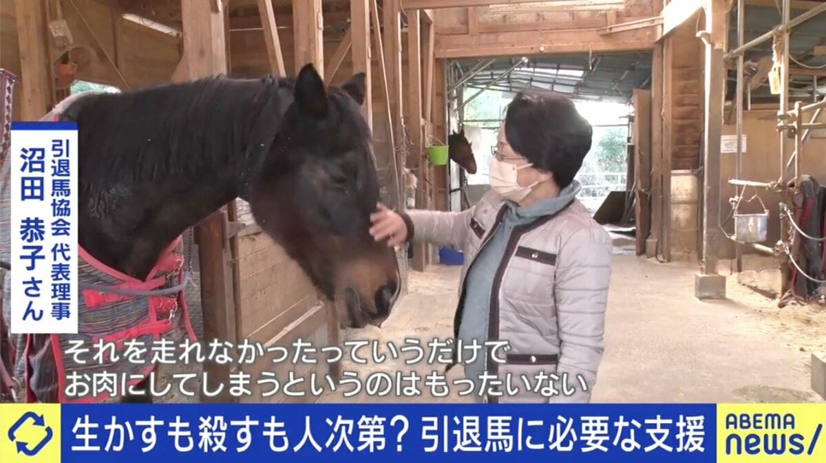 栄光の陰で馬肉になった名馬たち｜殺処分の歴史と引退馬支援の現在地