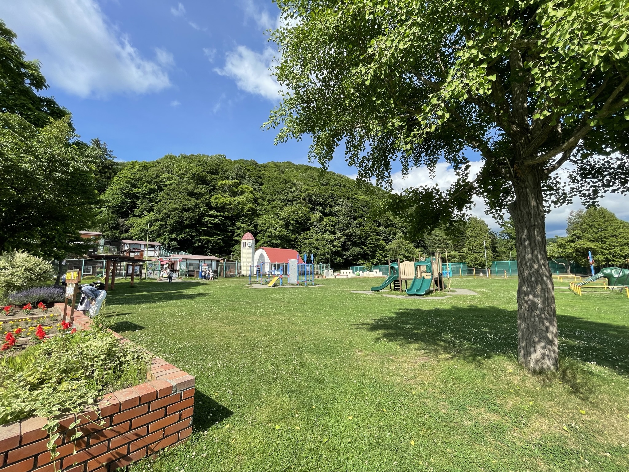 栗山公園が子連れに選ばれる理由｜無料動物園と穴場攻略を徹底検証