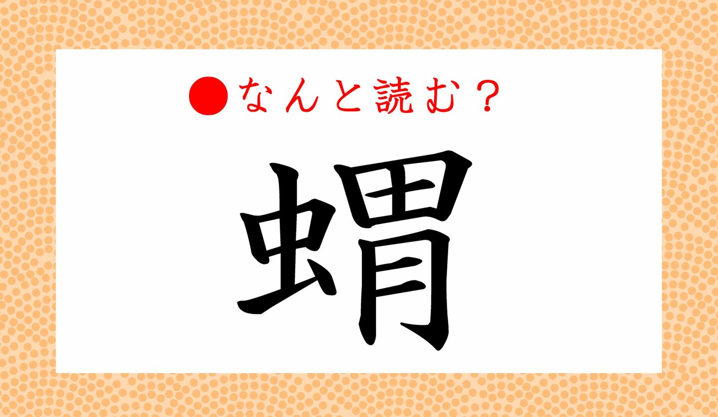 「虫へんに見る」の漢字「蜆」の読み方は？意味の由来や変換法を完全解説