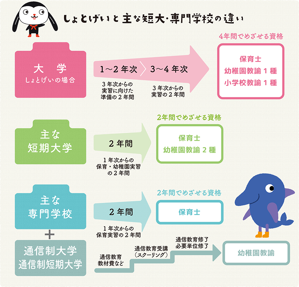 専門学校と短大の違いを徹底比較！学費や就職率・学位の差【2026最新】
