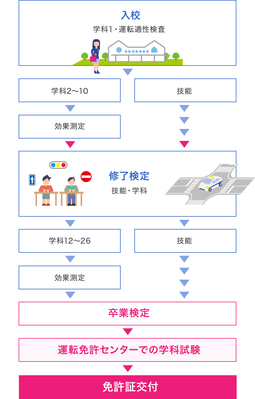 普通免許から準中型免許へ！後悔しない費用と最短日数【2026最新】