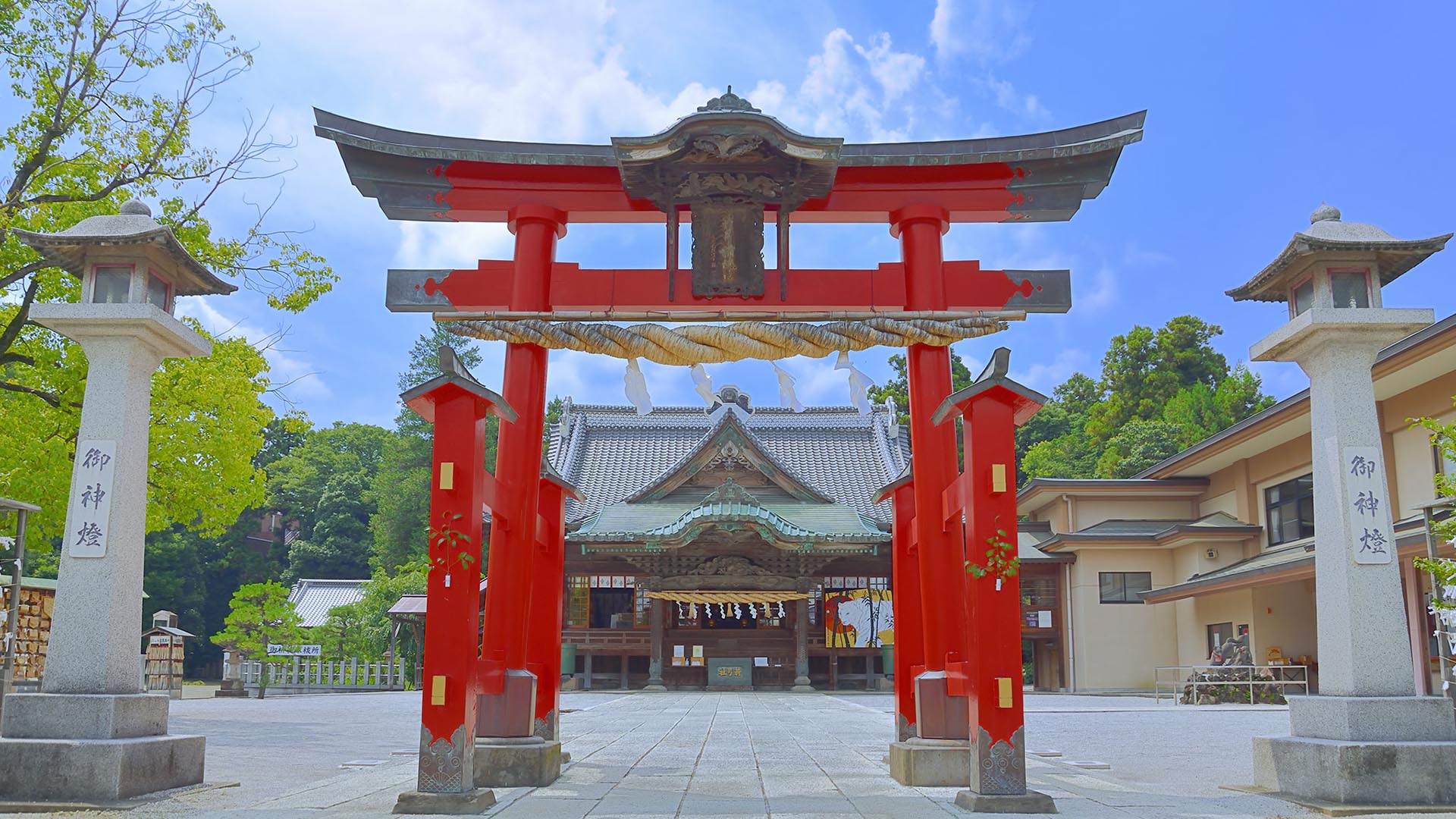なぜ箭弓稲荷神社に野球人が殺到するのか？勝負運の真相と2026年全貌