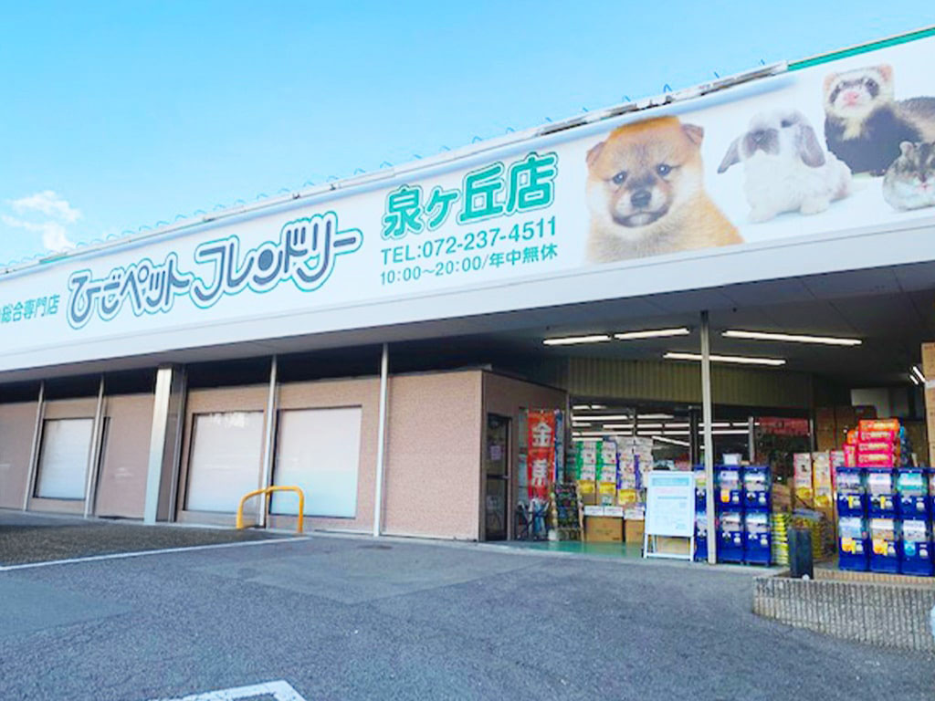 ひごペットフレンドリー評判と「やばい」噂の真相｜生体価格と本音検証