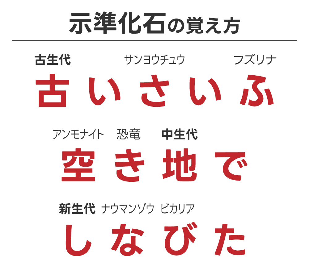 示準化石の覚え方は語呂合わせで一発！示相化石との違いも徹底解説