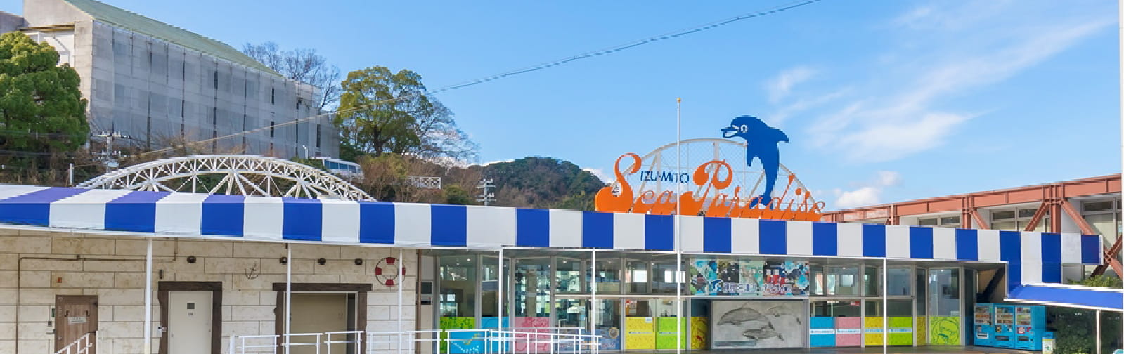伊豆三津シーパラダイス完全攻略！ショーの魅力や割引と混雑回避術