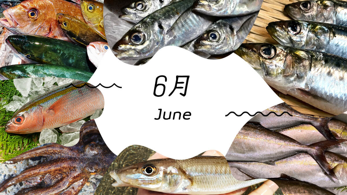 6月の旬魚決定版！梅雨イサキと入梅鰯の選び方・絶品レシピ総力特集