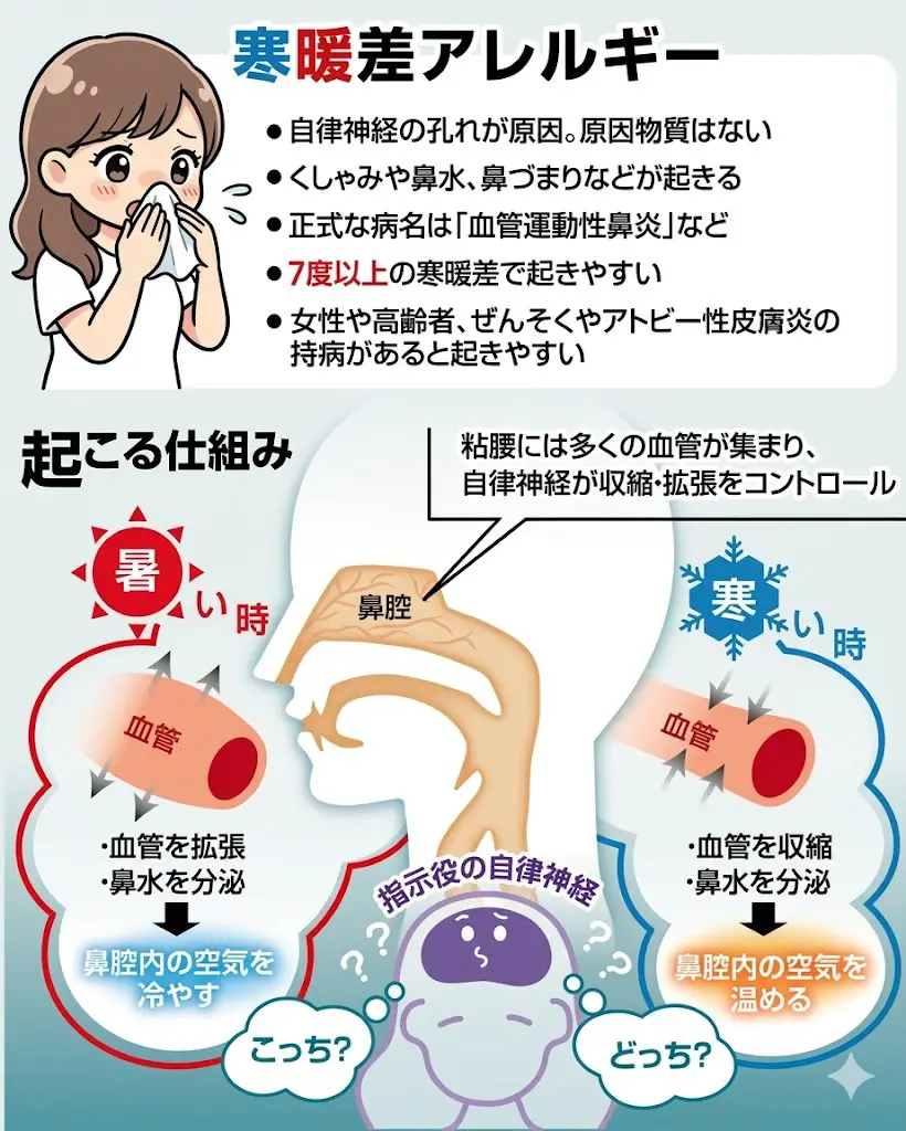 寒暖差で止まらない鼻水！血管運動性鼻炎の治し方と2026最新治療