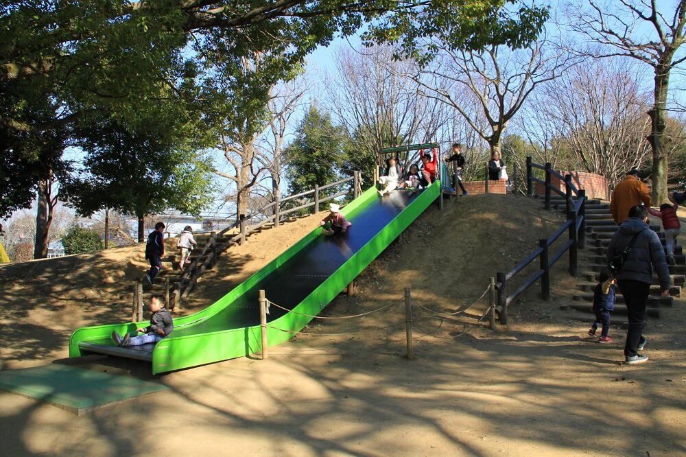 2026年春、進化する「都市と森の境界線」——柏の葉 公園が魅せる新しい休日スタイルと未来型緑地ビジネスの最前線