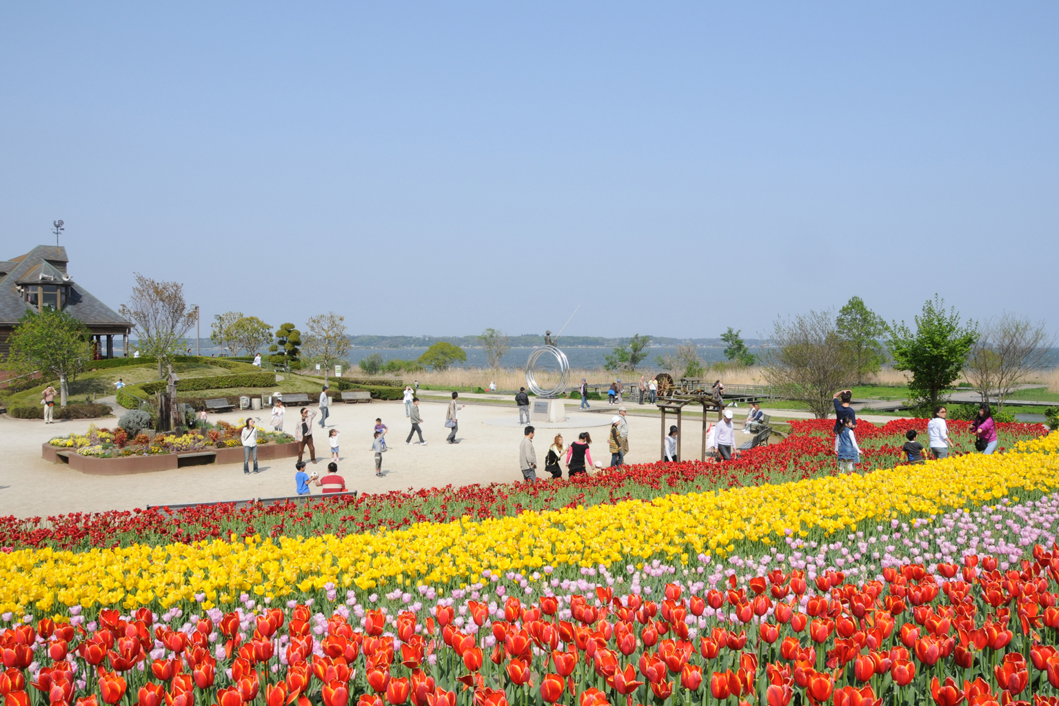 霞ヶ浦総合公園が今選ばれる理由とは？2026年の混雑と魅力を徹底解剖