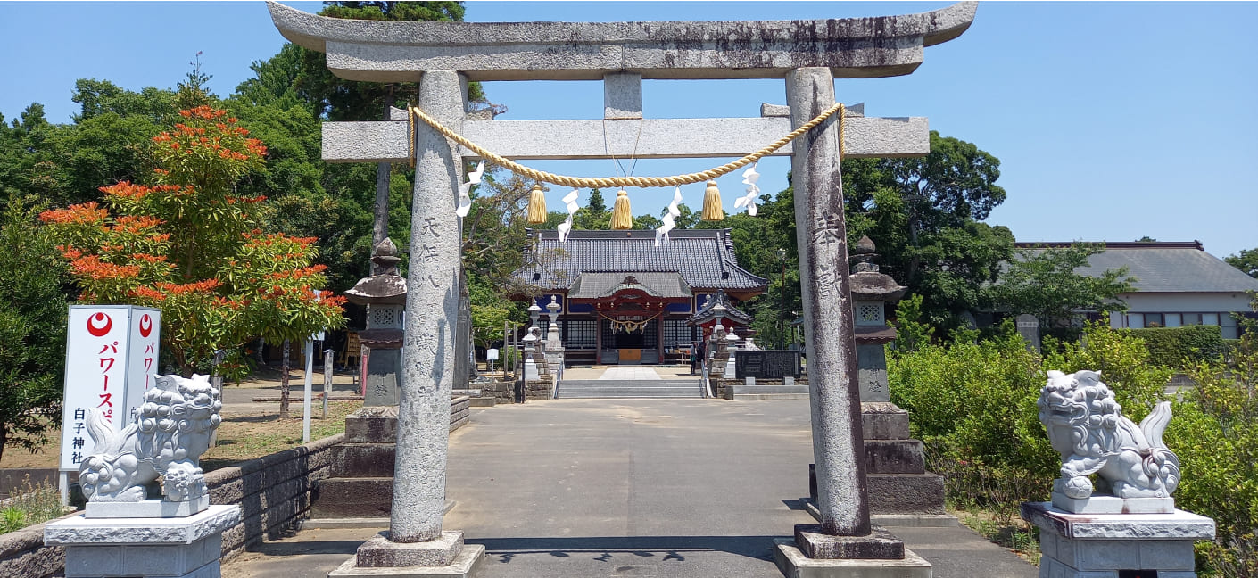 白蛇が宿る九十九里の秘境！白子神社「イケメン様」と縁結びの真実