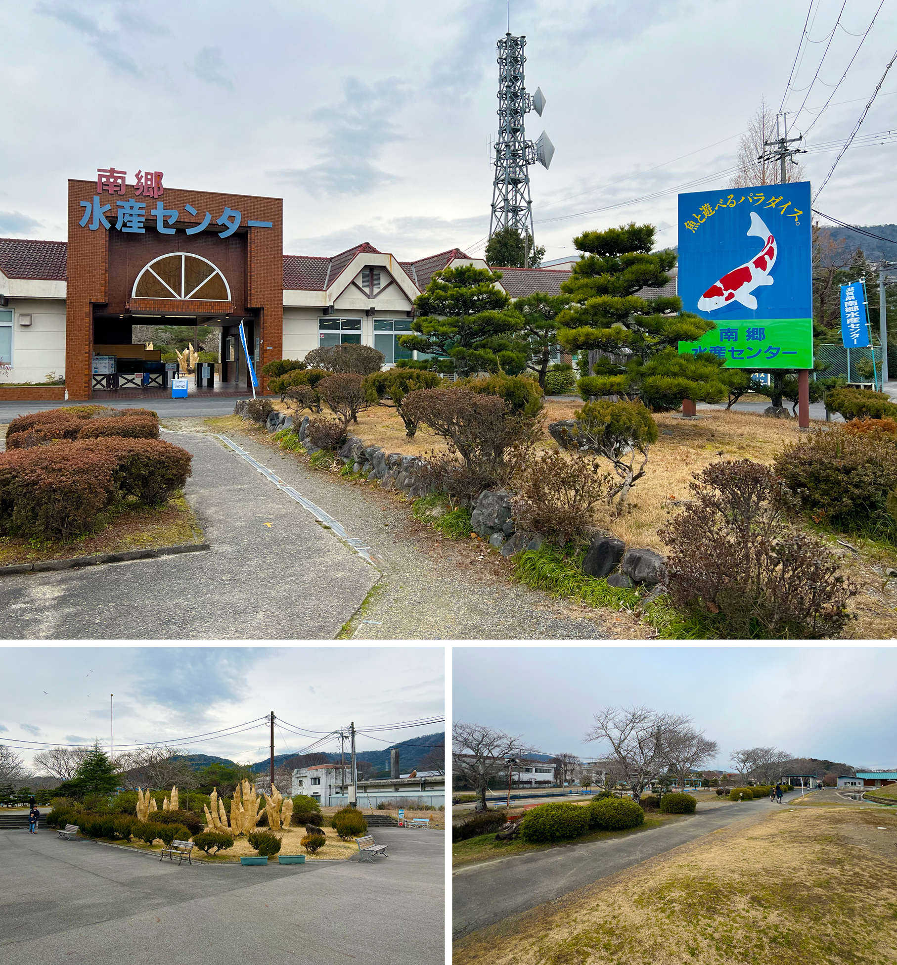 なぜ話題？南郷水産センターの狂気すぎる餌やりと釣り堀の評判を徹底解説