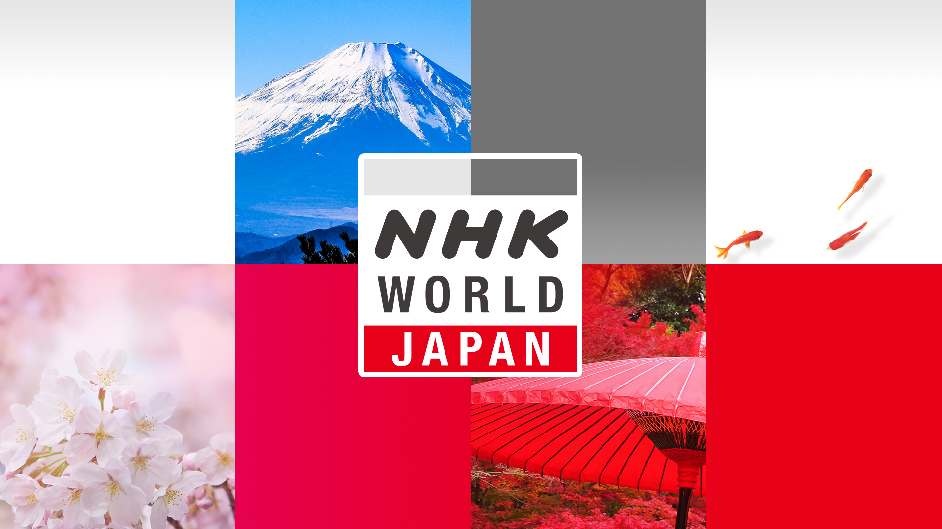 Nhk学園高校の評判と学費の実態！落ちる噂や偏差値の真相