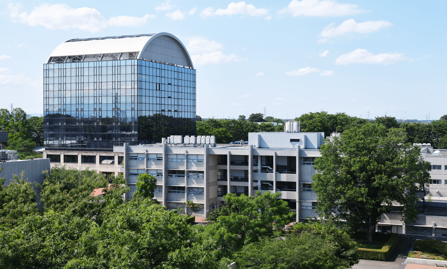 武蔵野美術大学のリアルな評判とは？偏差値・学費と就職実績を徹底検証