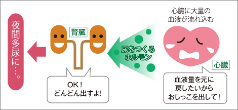 【噂】 心 因 性 頻 尿 子供 ブログ ファン必見の最新情報 #956