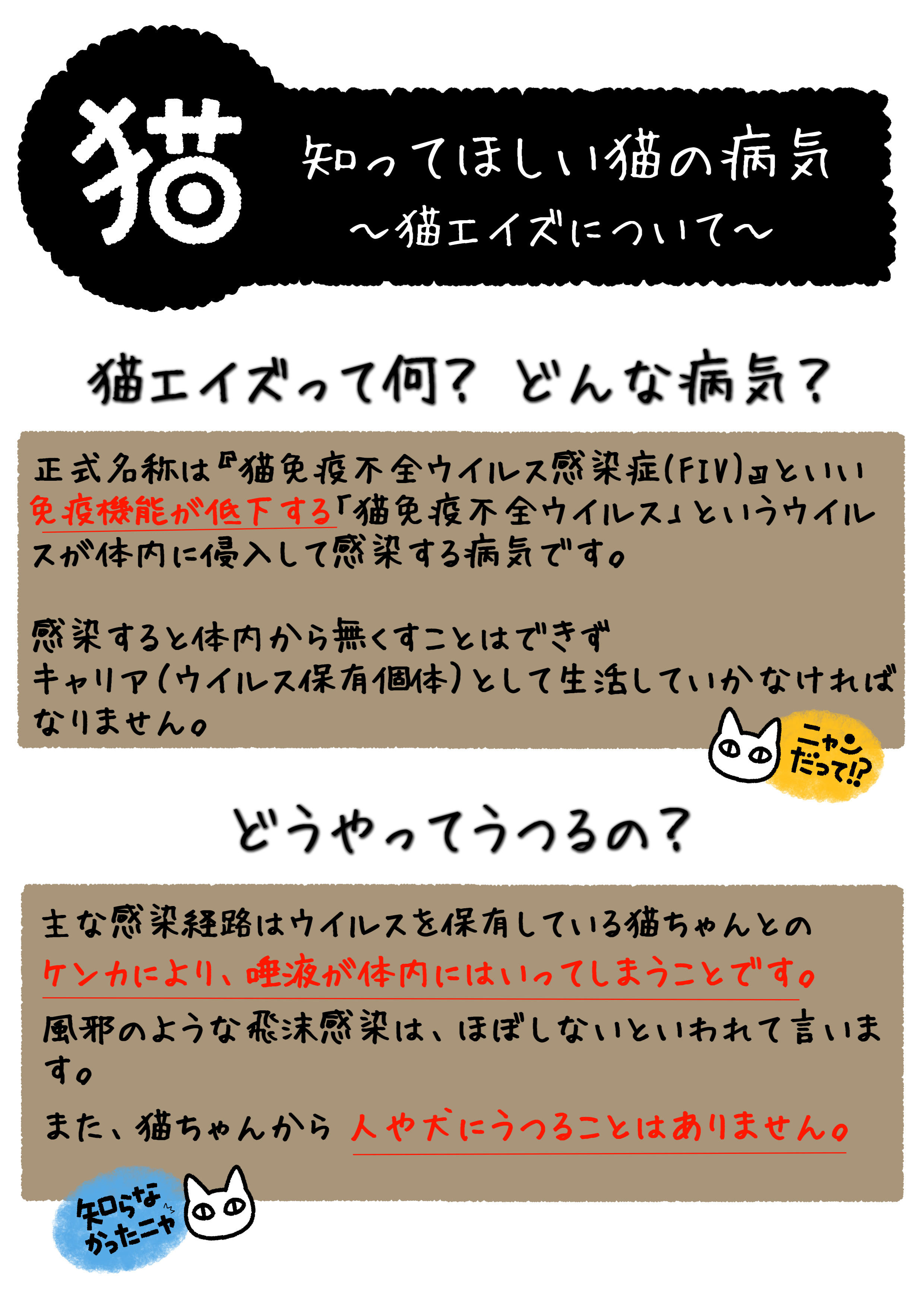 猫エイズの真実2026｜寿命や人にうつる誤解と最新ケアを徹底解剖