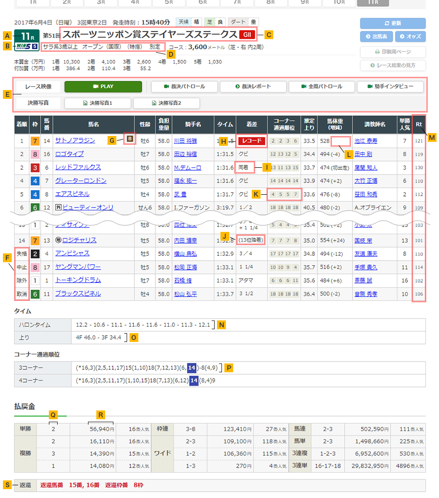【2026年最新】本日のレース情報総括！勝敗を分けた展開と払戻金