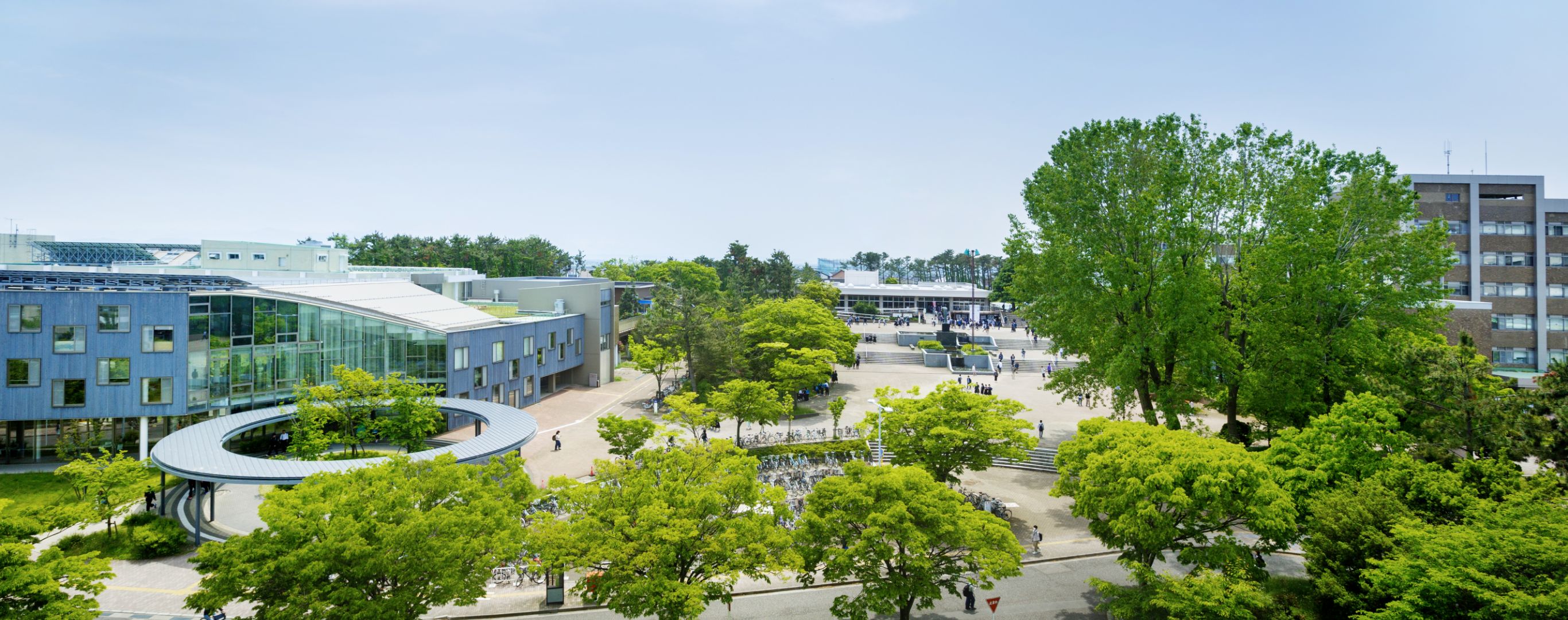 新潟大学五十嵐キャンパスの全貌！広大すぎる敷地と生活の実態