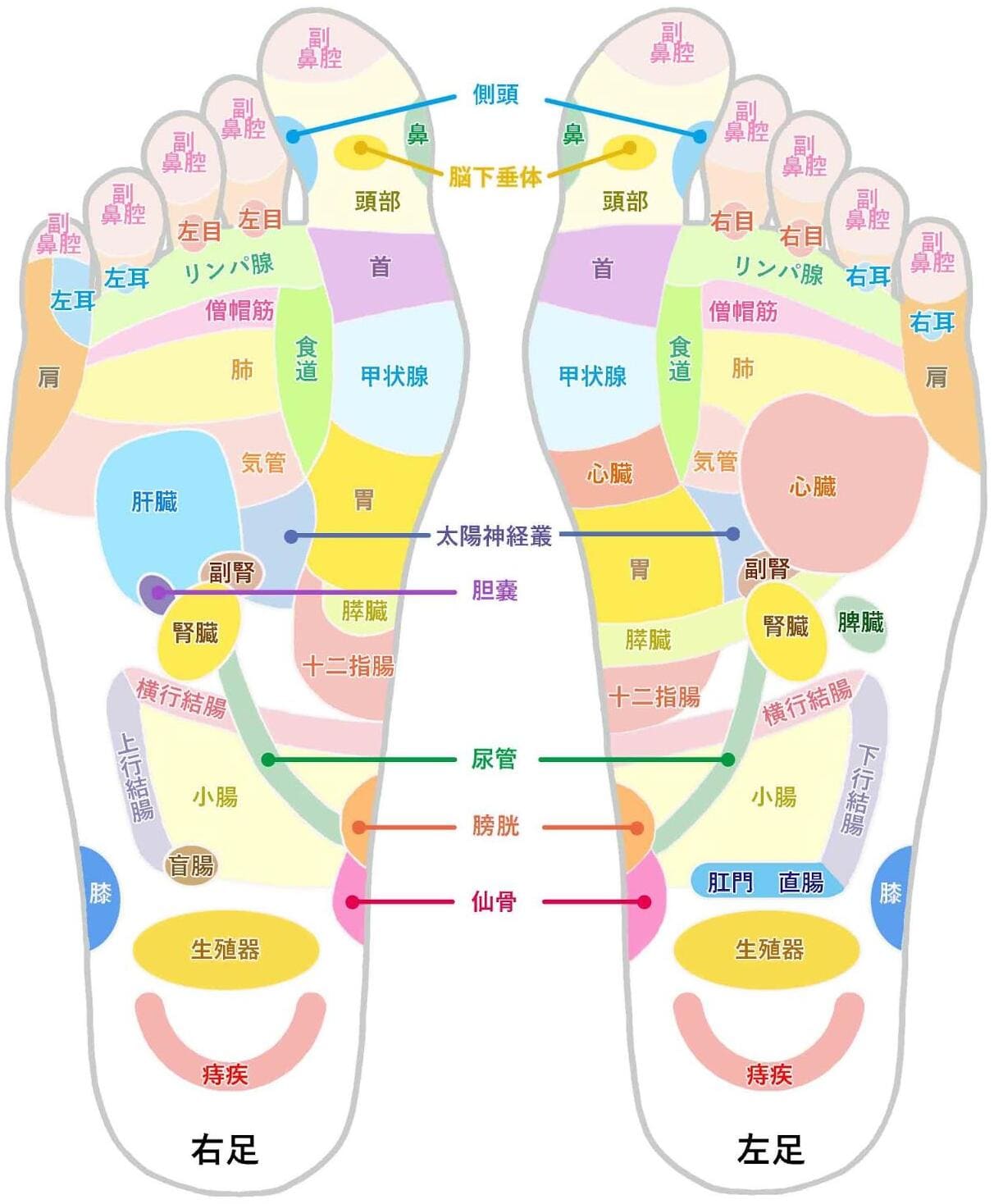 足の甲のむくみは危険信号？片足の腫れや痛みの原因と受診目安