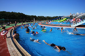 【画像あり】 辻堂 海浜 公園 ジャンボ プール 人気理由と評判まとめ #881