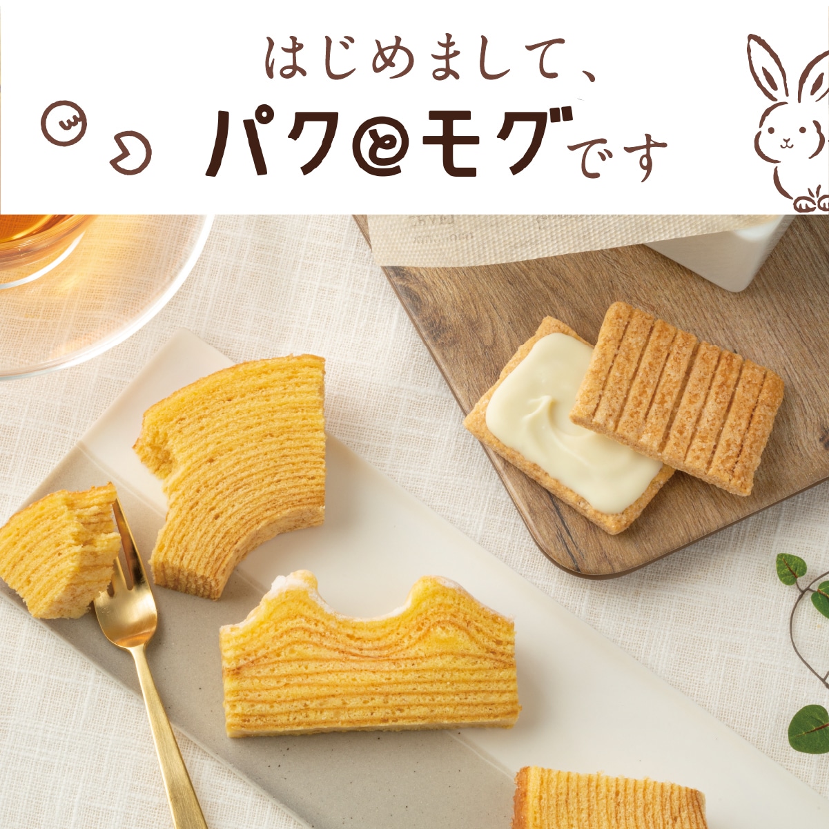 パクとモグの評判と送料無料条件を徹底検証！2026年最新の活用術