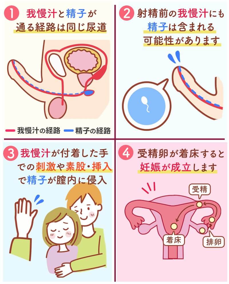 我慢汁とは？少量でも妊娠する理由と精子混入の真相を徹底解説