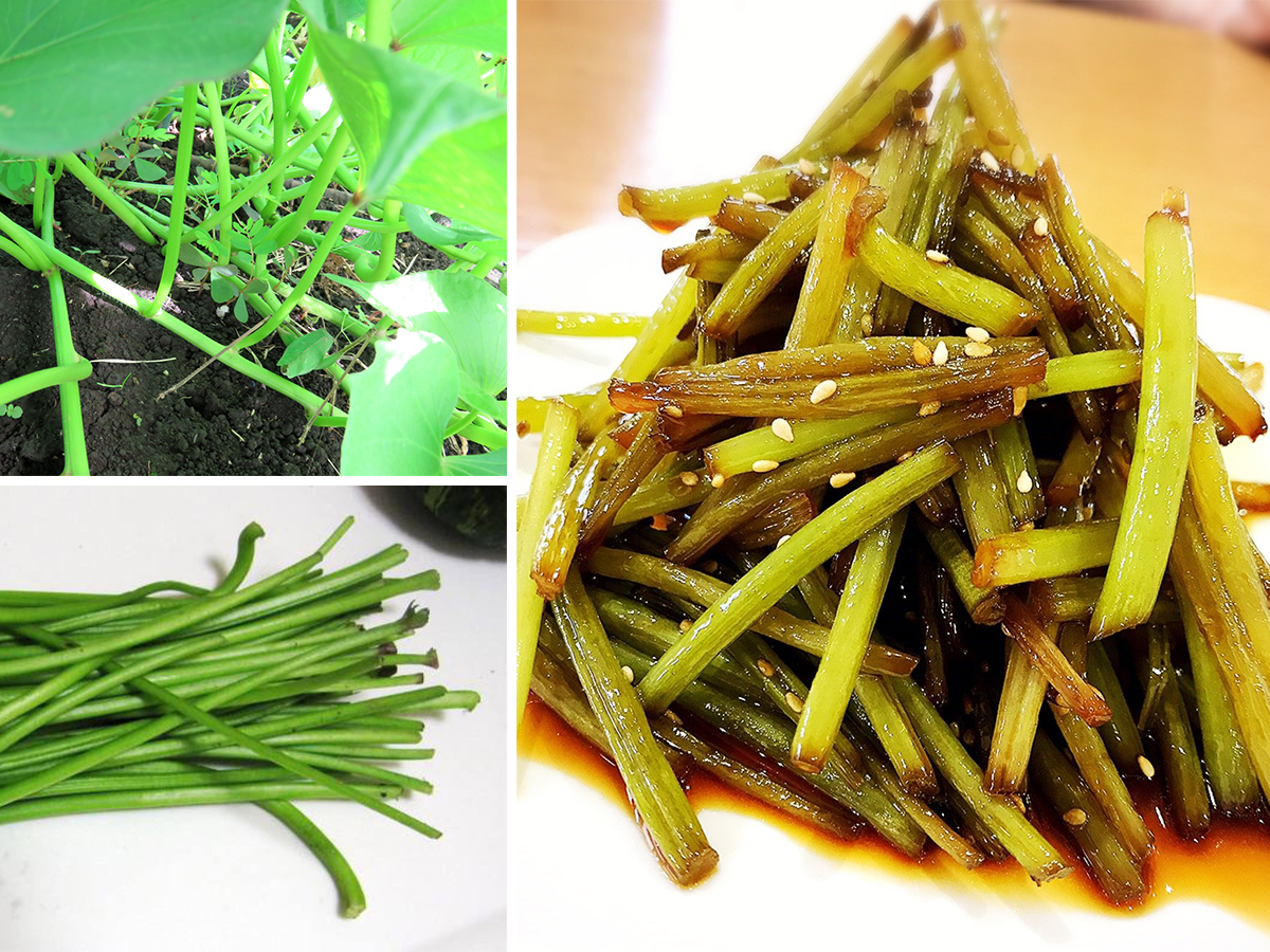 捨てたら損！さつまいもの茎の美味しい食べ方と簡単下処理の完全ガイド