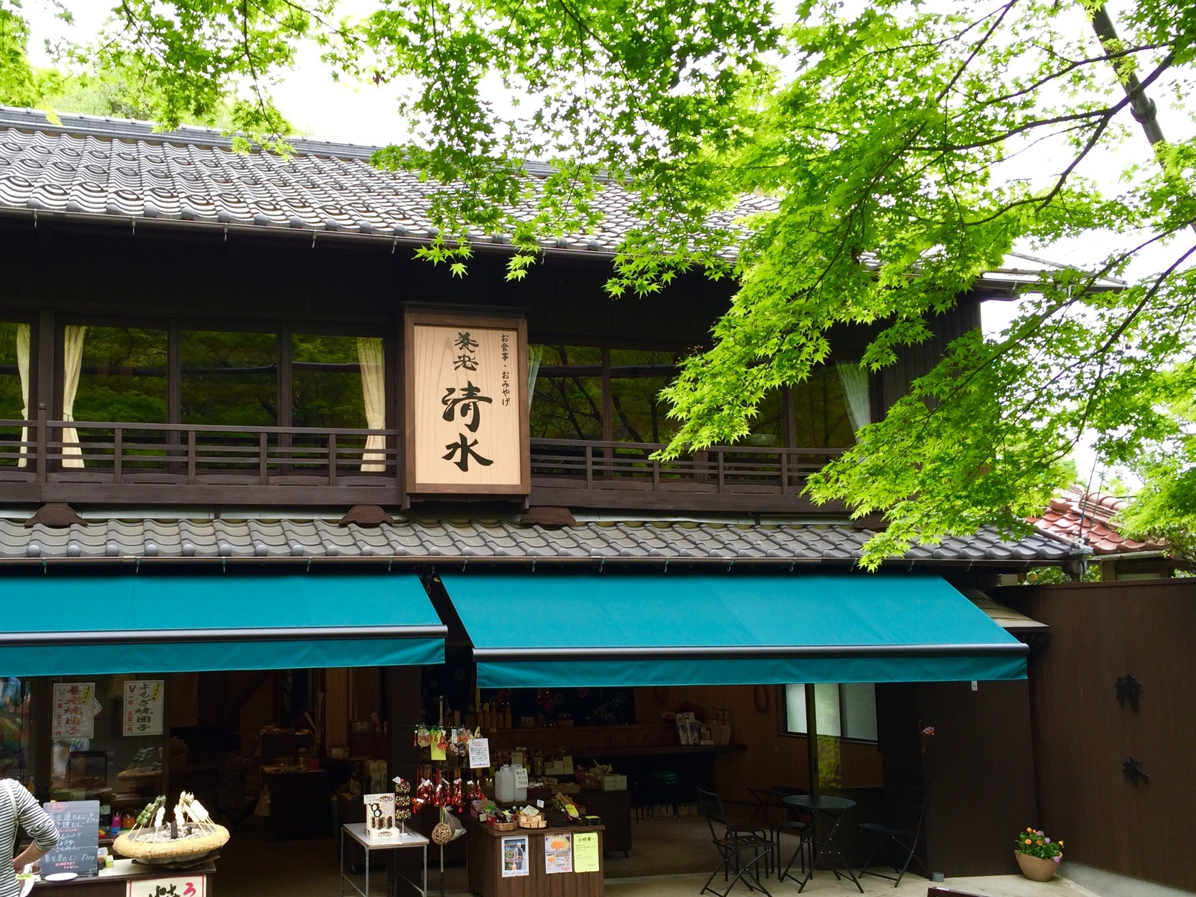 養老公園の清水に迫る！酒に変わる伝説の真相と2026年水汲み事情