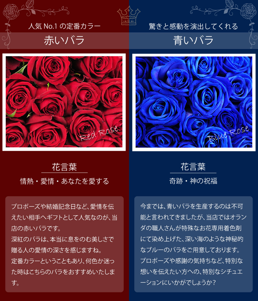 青いバラの花言葉はなぜ奇跡へ？不可能から変化した真相と本数の意味