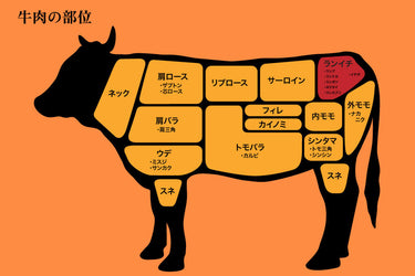 【インスタ画像】 ランプ 肉 と は 2026年最新芸能速報 #760