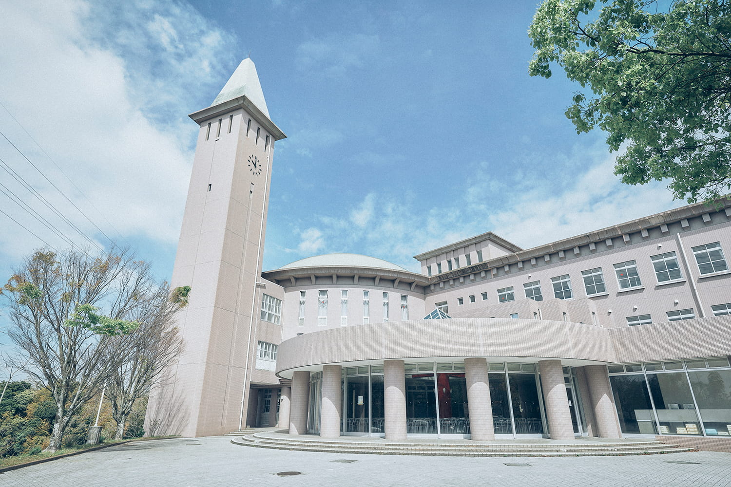 樟南高校の評判と真実｜偏差値や進学実績・甲子園強豪の光と影【2026】