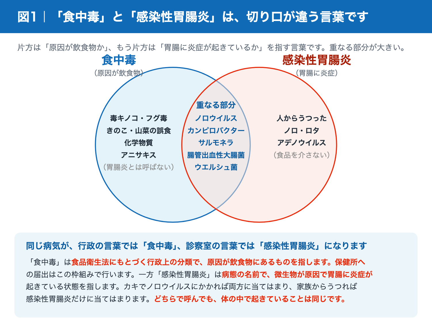 胃腸炎と食中毒の違いとは？潜伏期間と症状の見分け方【2026最新】