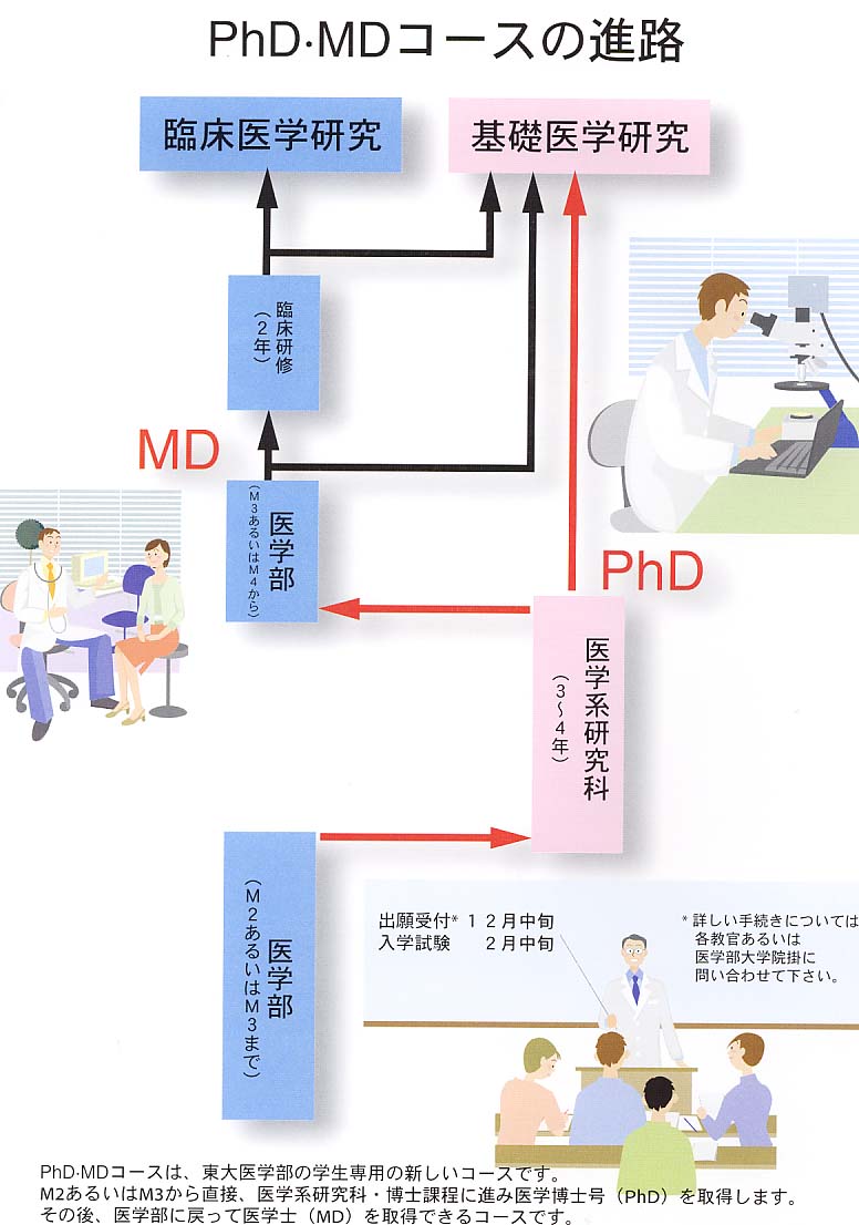 【2026最新】医学博士とは？医師免許なしの真相と取得費用を解剖