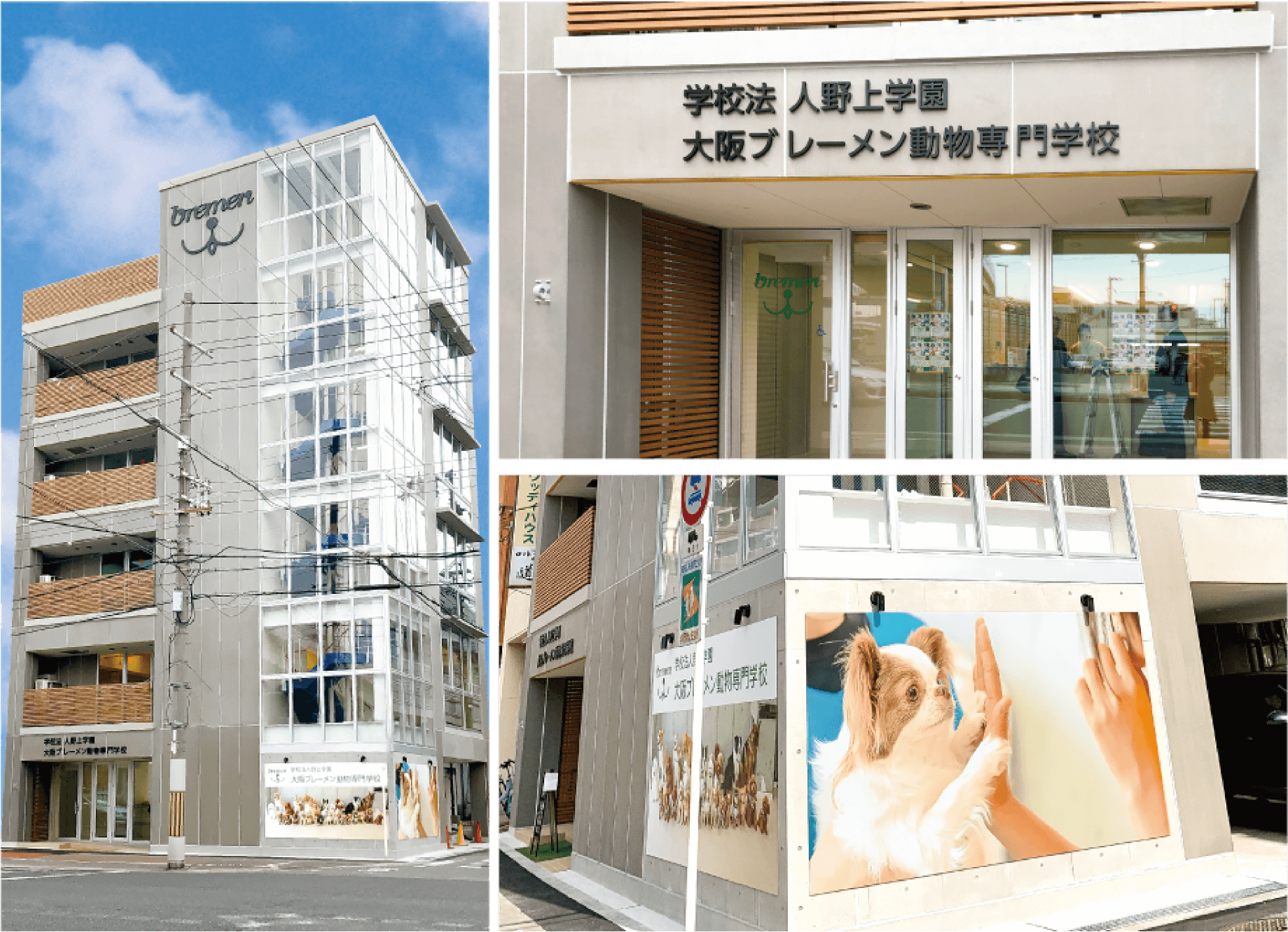 ブレーメン動物専門学校の評判と学費｜「やばい」噂と合格率を徹底検証