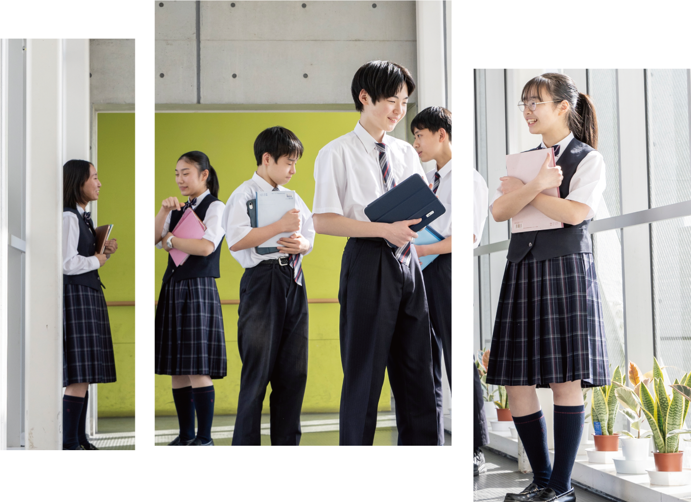 都市大等々力なぜ躍進？進学実績と偏差値急伸の真相を徹底解剖【2026】