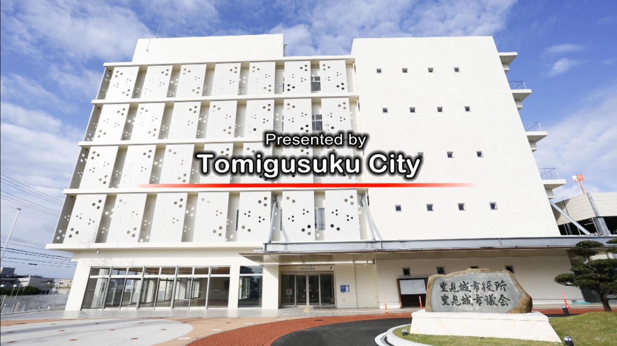 豊見城市役所で待たない新常識！損しない申請手順と窓口攻略ガイド