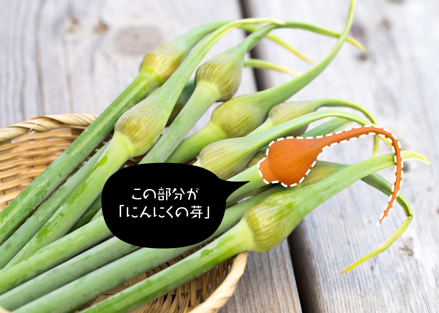 ニンニクの芽は臭わない？翌日の口臭・体臭の真相と劇的消臭対策