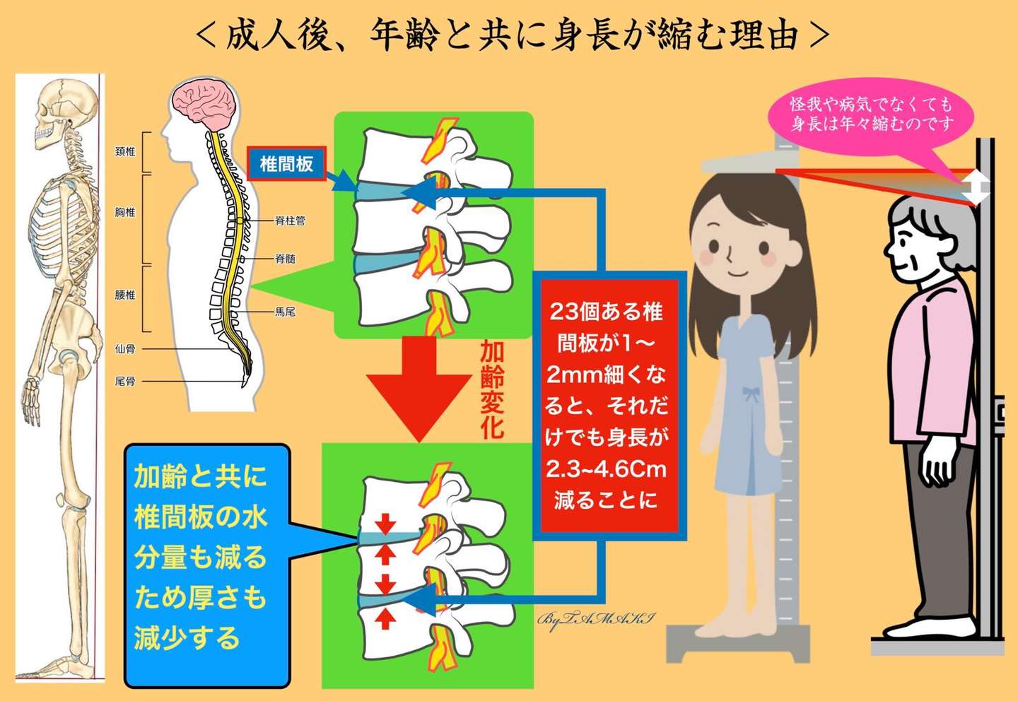 身長が縮んだ？健康診断の落とし穴と放置厳禁の危険なサインを解剖