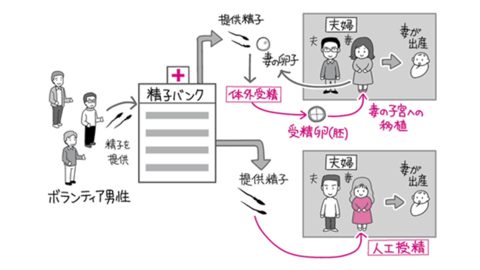 精子提供トラブル急増の真相｜Snsの罠と費用・法的リスク徹底解説