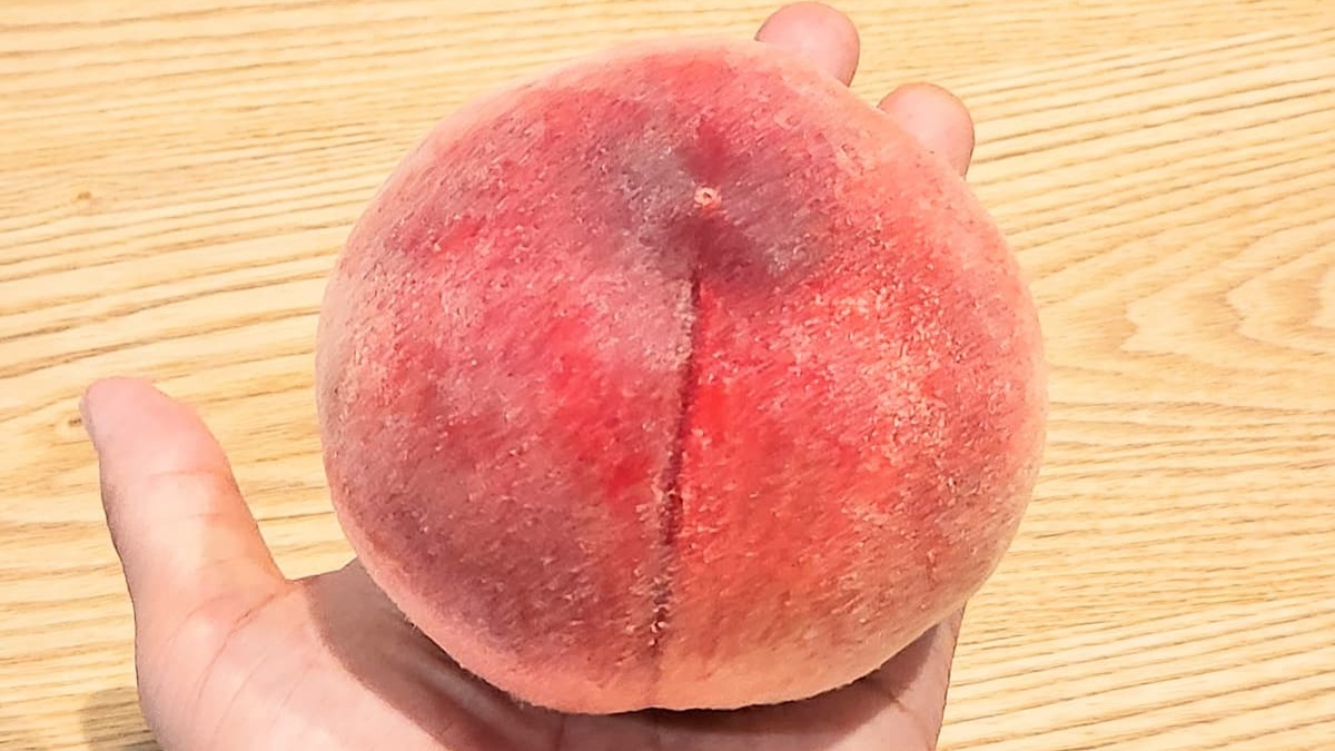 桃を冷蔵庫に入れてしまった！甘さを復活させる裏ワザと正しい保存術