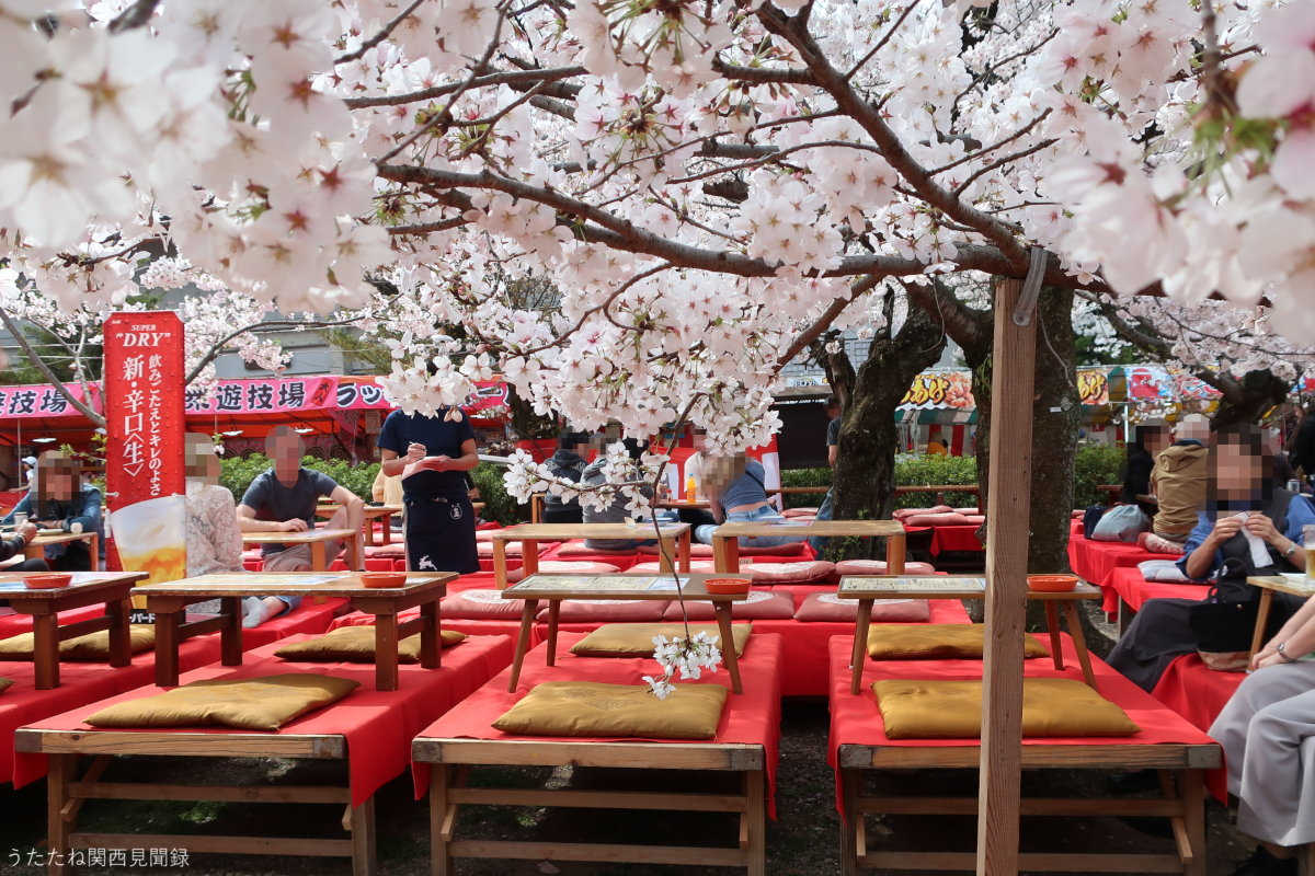 円山公園の桜屋台2026！出店期間と営業時間・混雑回避完全ガイド