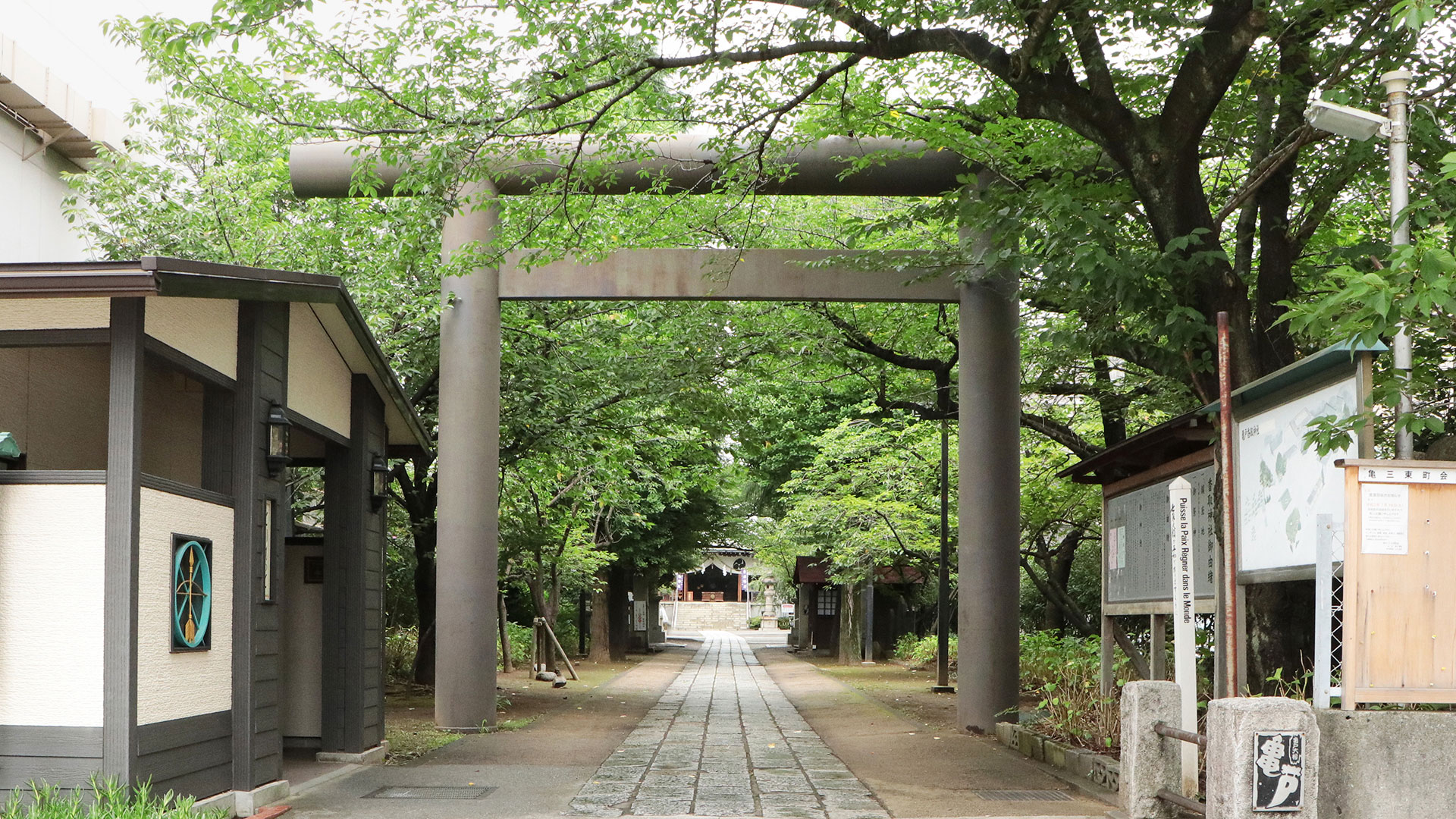 亀戸香取神社にアスリートが集う理由｜勝守の真価と勝運の掴み方
