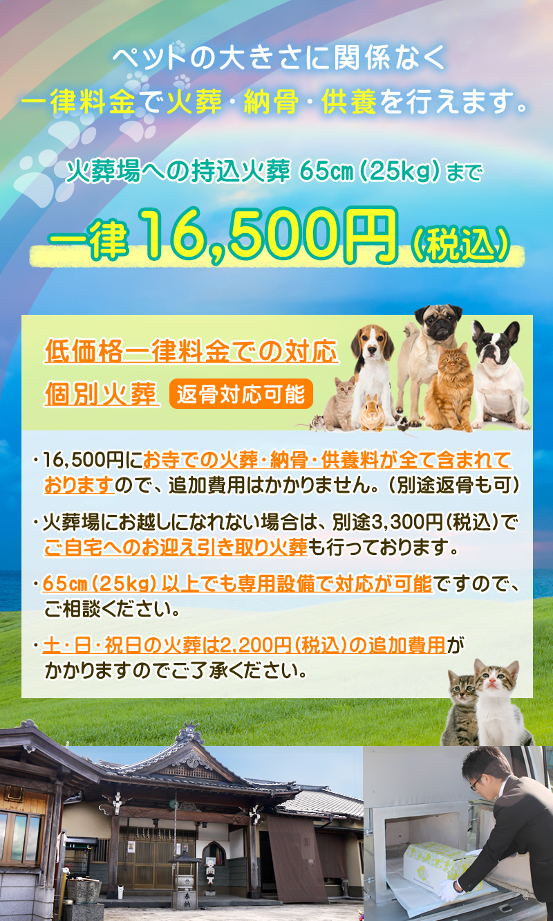 諏訪公園の遊具と駐車場事情を徹底解剖！2026年の混雑回避術