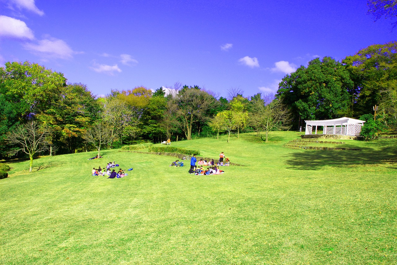 七沢森林公園の歩き方2026｜Bbq予約と無料駐車場の混雑裏技