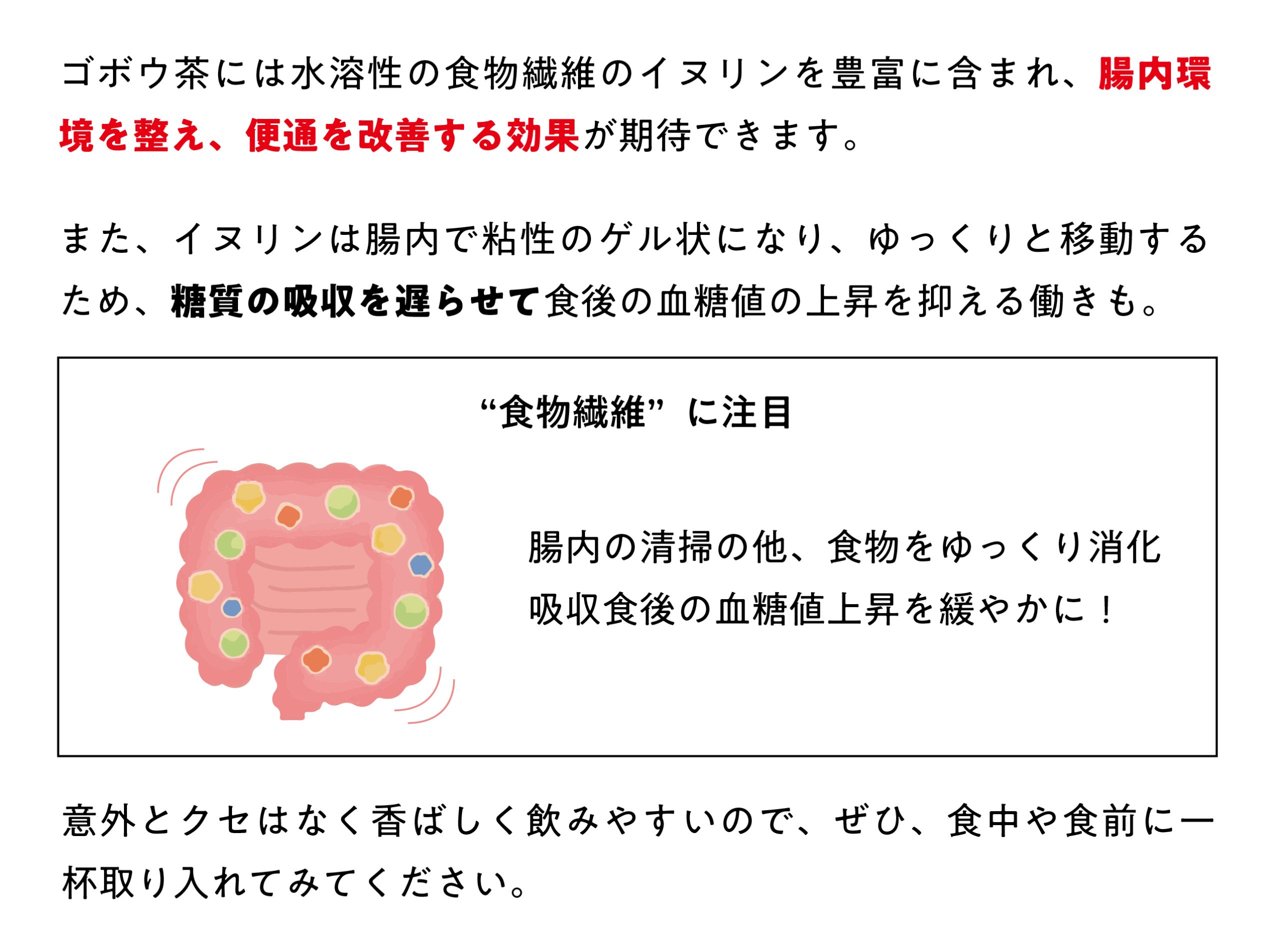 ごぼう茶の効能と真実｜若返りや便秘解消の科学的根拠を徹底検証