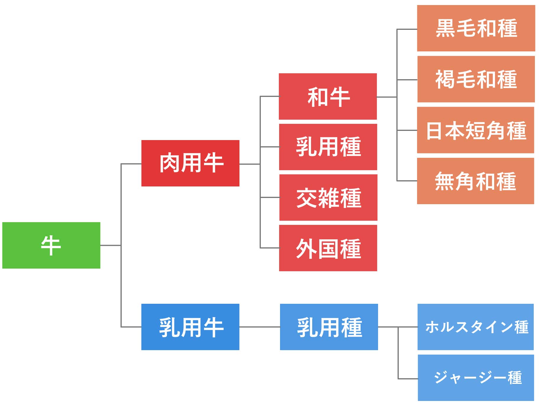 国産牛と和牛の違いとは？「国産＝和牛」ではない衝撃の真相と選び方