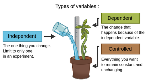 Experiment Examples with Independent and Dependent Variables