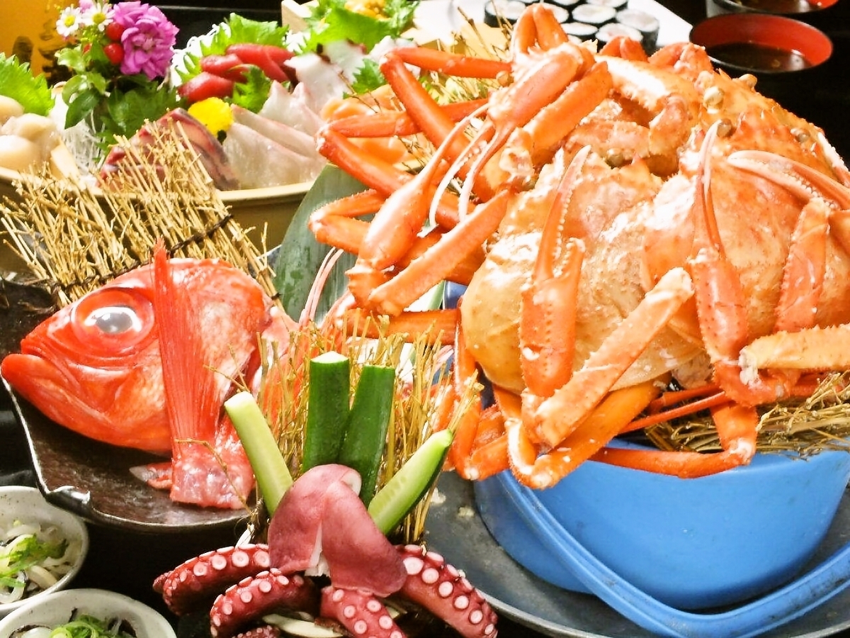 競り落とし直結の衝撃！神戸北野坂・隆明本店で味わう極上鮮魚