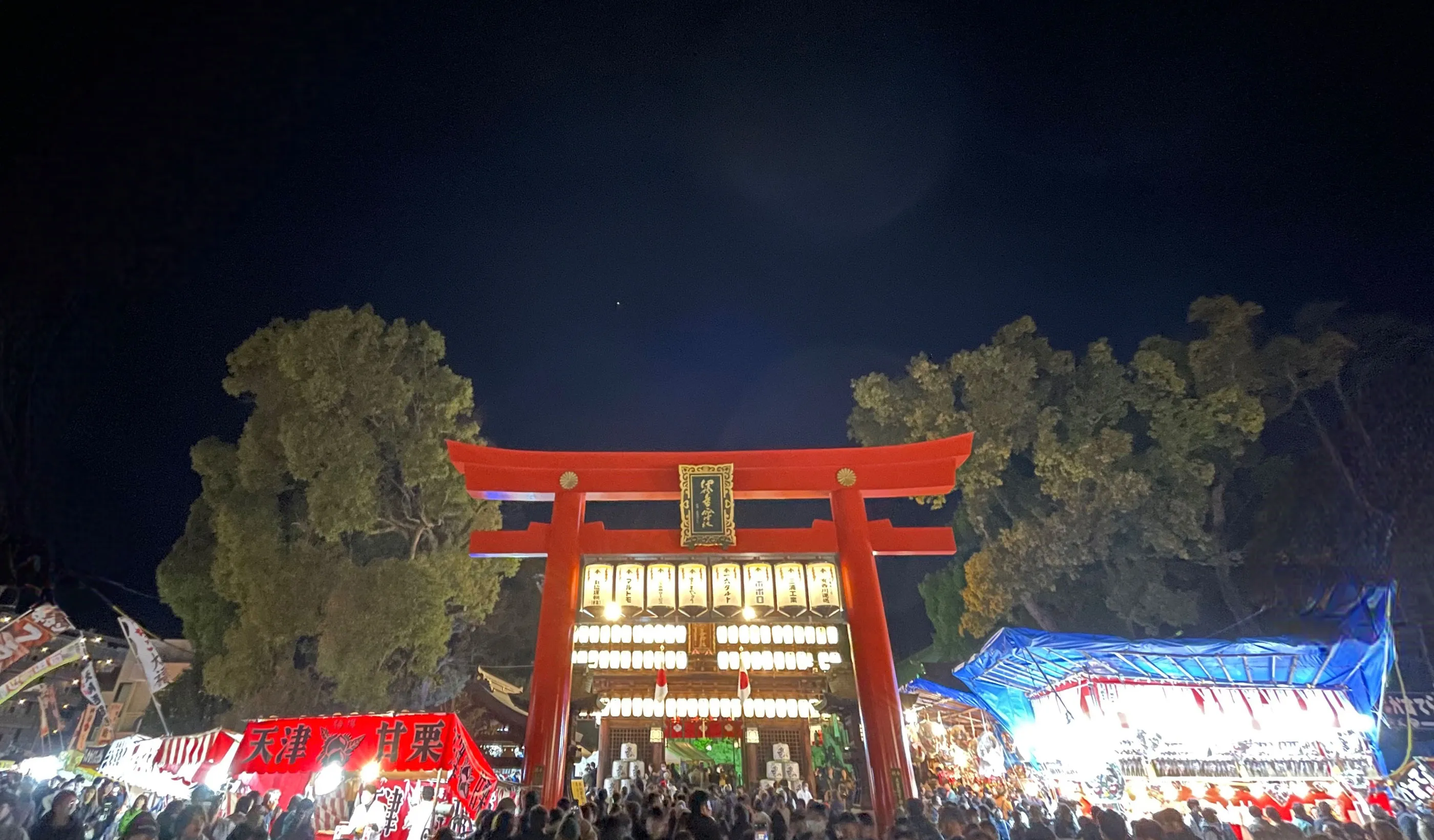松山・椿神社が商売繁盛と縁結びで愛される理由｜2026年椿まつり攻略